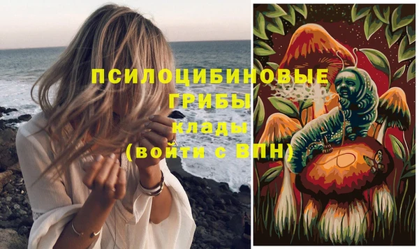 мескалин Инта